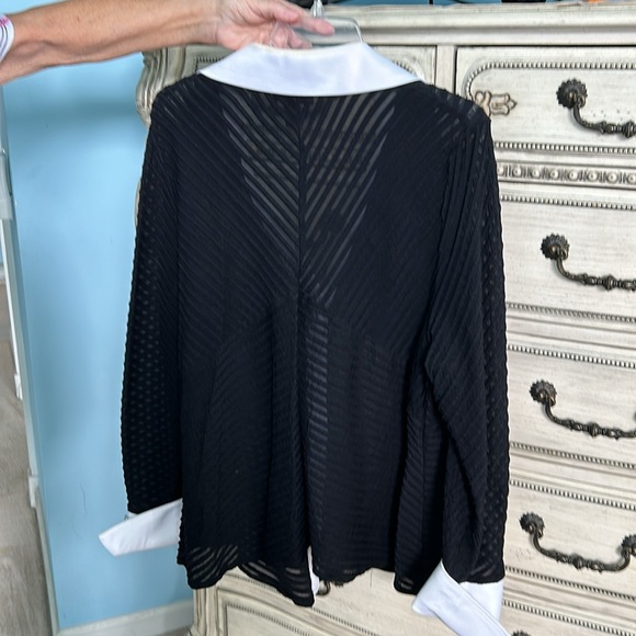 JS Collections Blouse - Picture 4 of 8